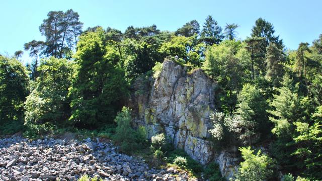 roc-chien-bagnoles-orne
