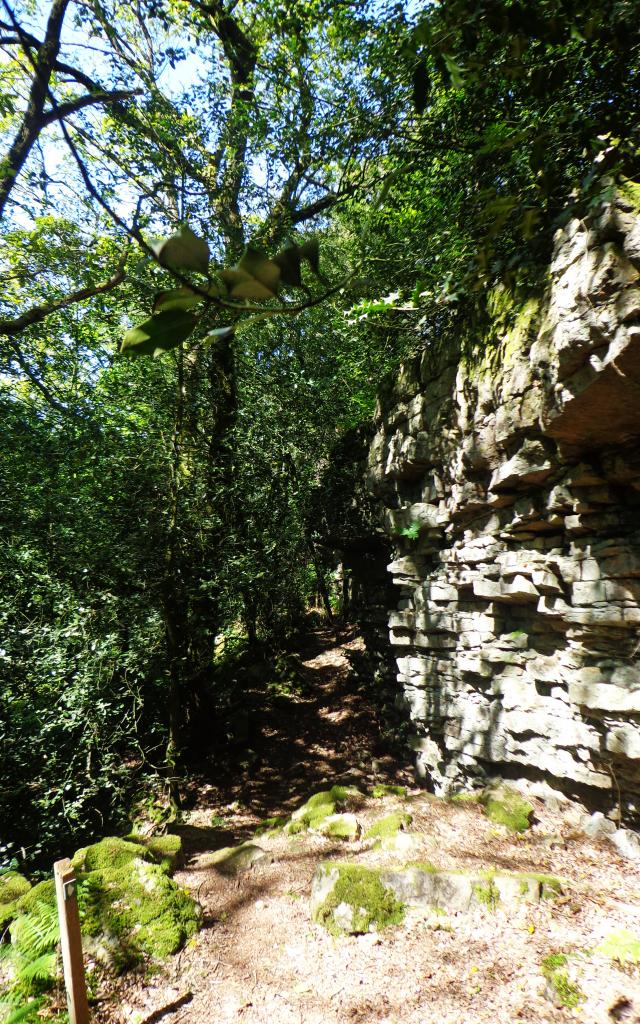 foret-andaines-gorges-villiers-2