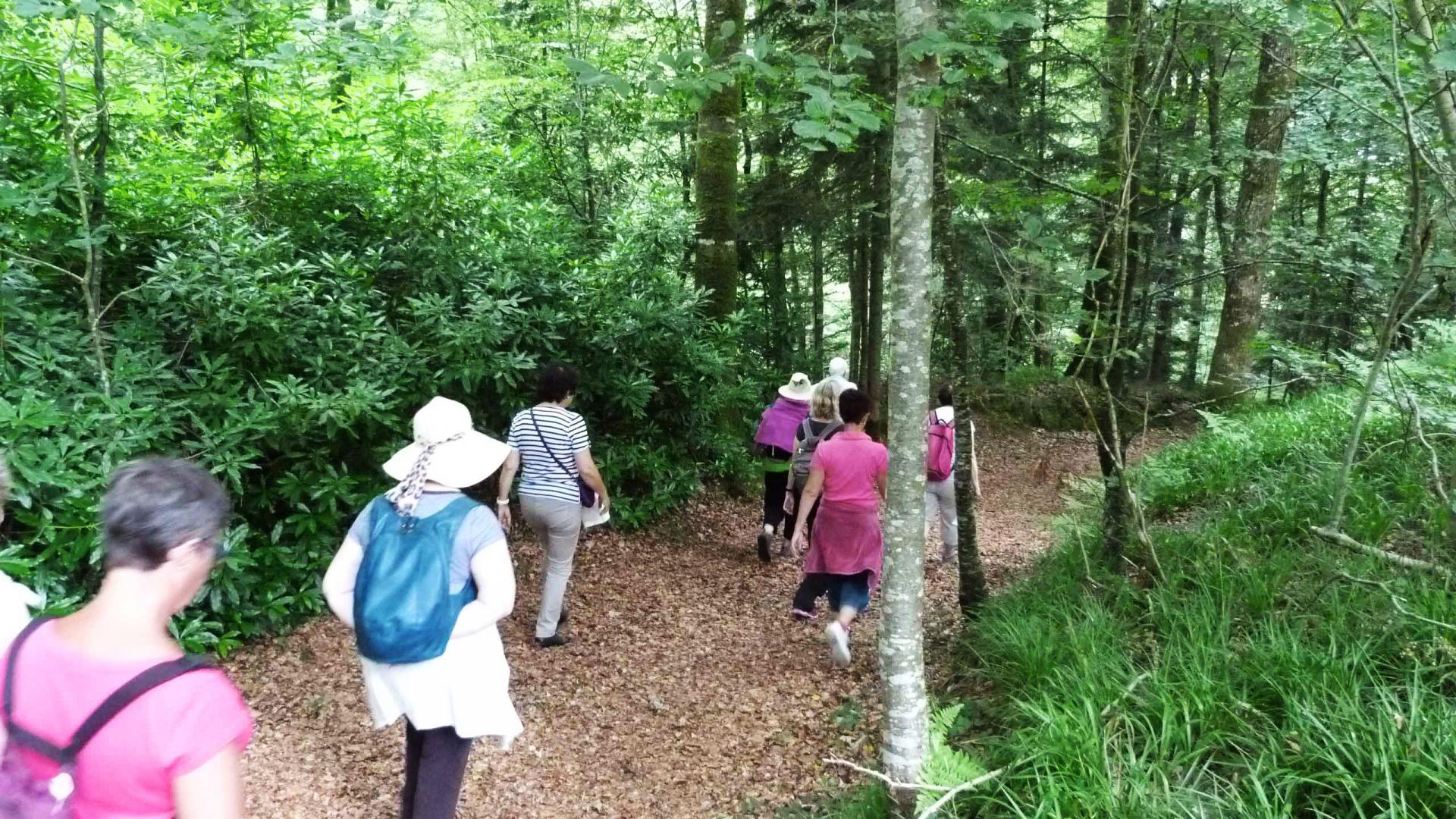 bagnoles-orne-sortie-nature-randonnee