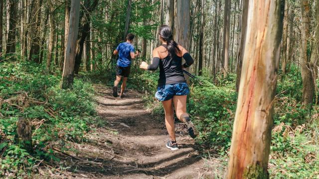 trail-coureur-coureuse-foret-adobestock.jpeg
