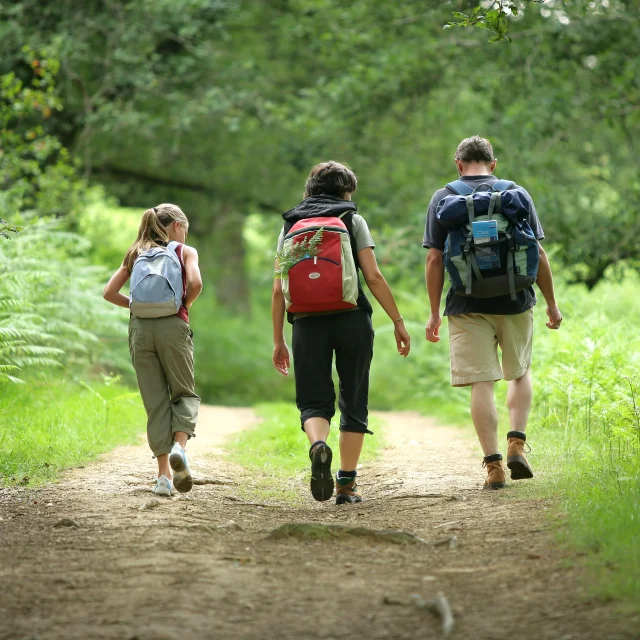 Bagnoles Orne Randonne Marche Balade Famille Enfant Parent Groupe Nature Foret Itineraire Circuit Adobestock