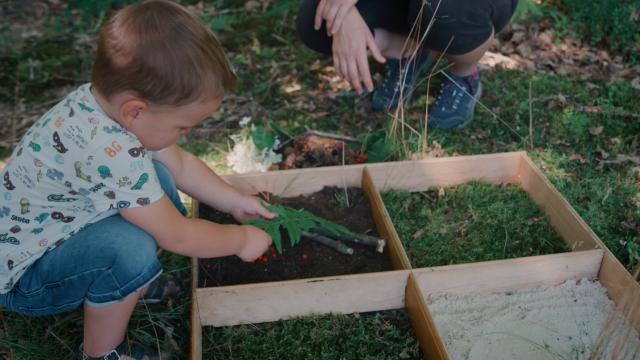 Bagnoles Orne Experiences Video Serie Tuto Atelier Landart Oeuvre Art Ephemere Nature Foret Passionnementalafolie