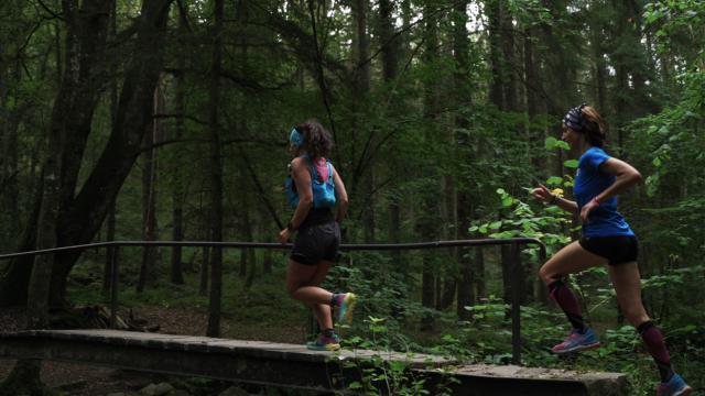 Bagnoles Orne Experiences Video Serie Portrait Tuto Rencontre Trail Bebagnoles Normandie Pausecitron Foret Course