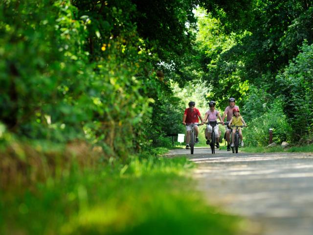 Bagnoles Orne Bebagnoles Randonnee Cycliste En Foret Domfront Pascal Beltrami