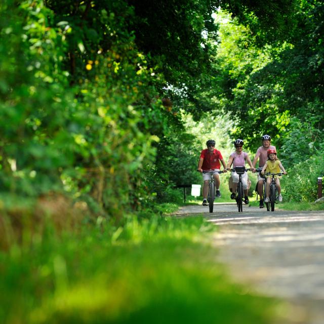 Bagnoles Orne Bebagnoles Randonnee Cycliste En Foret Domfront Pascal Beltrami