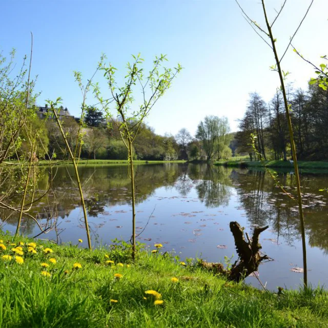 Tinchebray Bocage Lac Plan Eau Nature Domfront Bagnoles