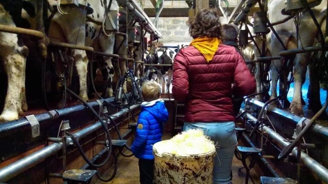 Bocage Destination Domfront Bagnoles Vacances Paques Topito Animations Traite Vache Saint Fraimbault