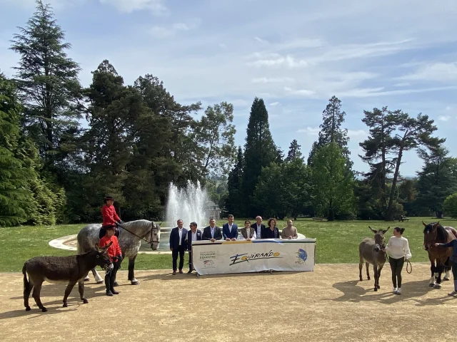 2025 05 Equirando Conf