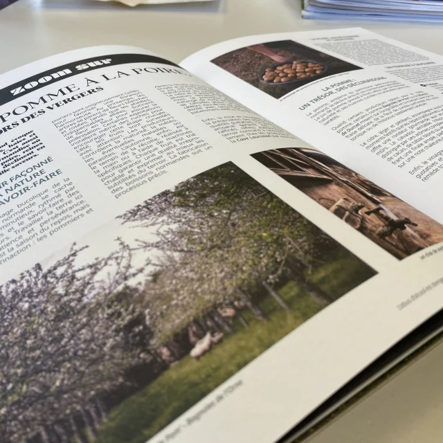 Bagnoles Bocage Domfront Magazine Tourisme Edition Print Destination Interieur Terroir 2025