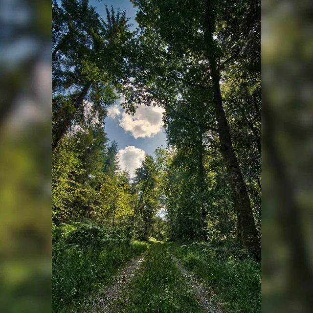 Instagram #bagnolesdelorne