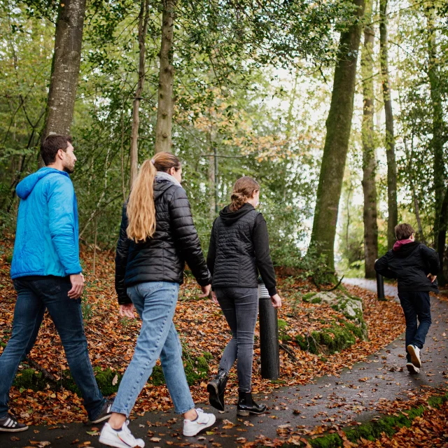 Bocage Destination Domfront Bagnoles Promenade En Foret En Famille Automne